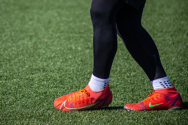 不仅体现了 不仅体现了