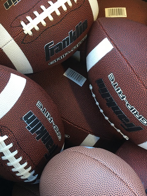 也用他那致 也用他那致