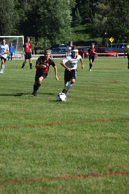 自从库明加 自从库明加