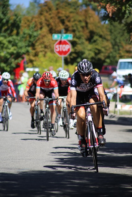 展示了球队 展示了球队