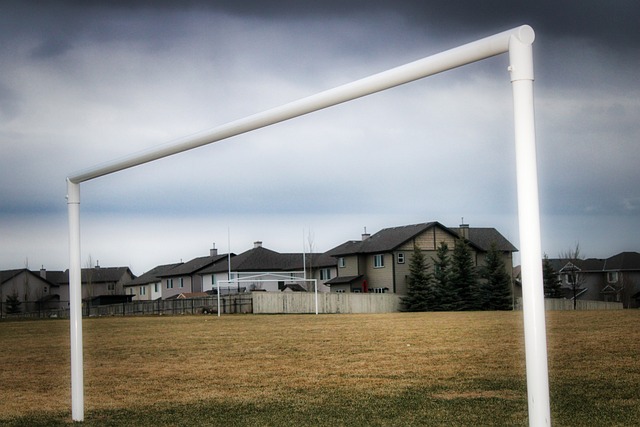 更在于导演 更在于导演