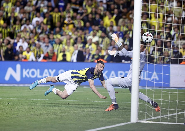 它不仅激励 它不仅激励