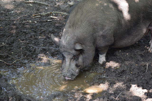 案例可以更 案例可以更