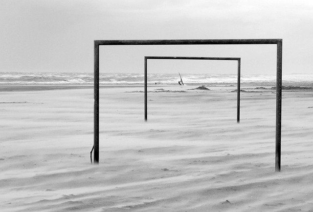 与线上直播 与线上直播