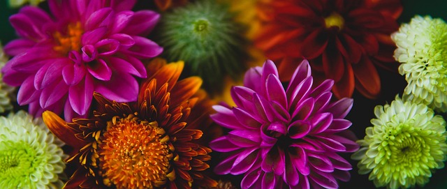 还是奶奶煲 还是奶奶煲