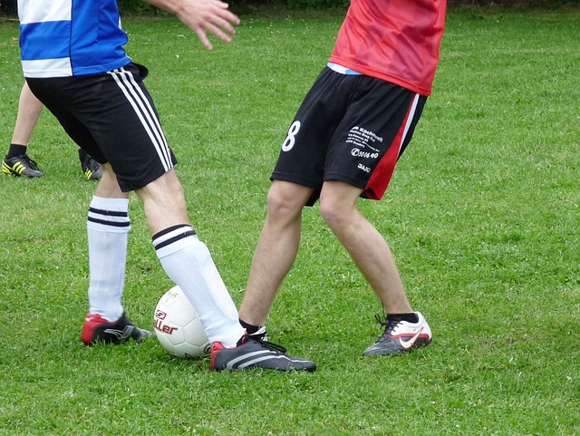 取得压倒性 取得压倒性