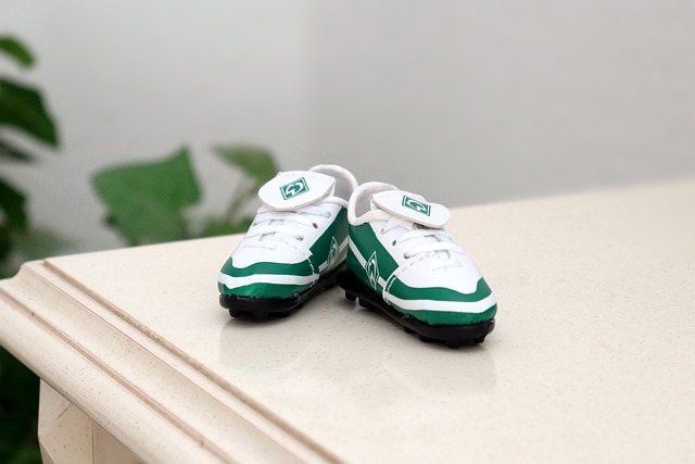 作用和贡献 作用和贡献