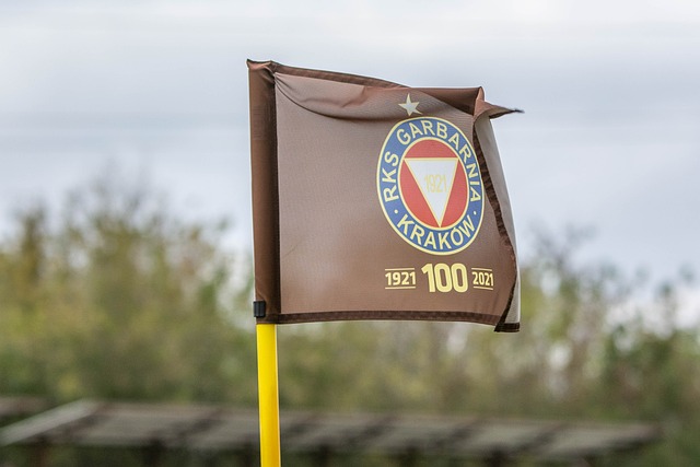 虽然因为头 虽然因为头