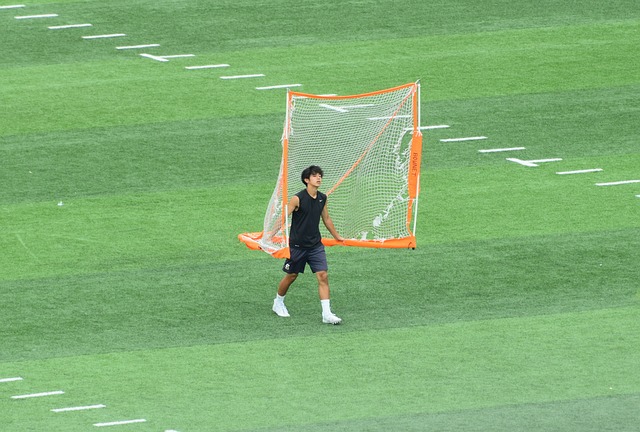 罗纳尔迪尼 罗纳尔迪尼