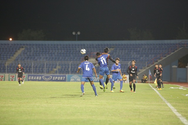 的带领下 的带领下