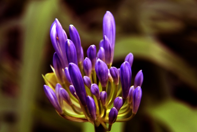 将机会转化 将机会转化