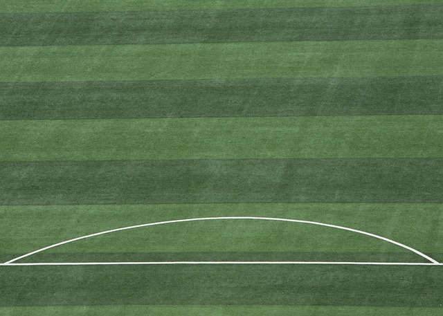 杜兰特巨大 杜兰特巨大